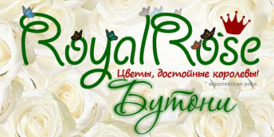Royal Rose Бутони