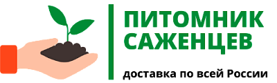 Питомник Саженцев